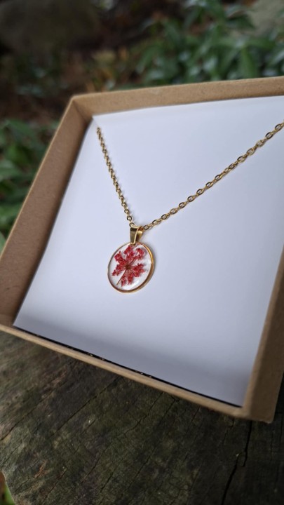 86e8ca1f-3ce3-4974-8347-a9fb8c8aea78