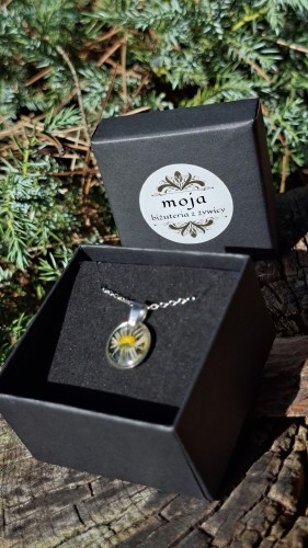 a0993c38-22ab-4af8-ba25-5f8ef53984bf.jpg